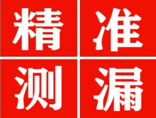 洮南尚嘉漏水精准查找